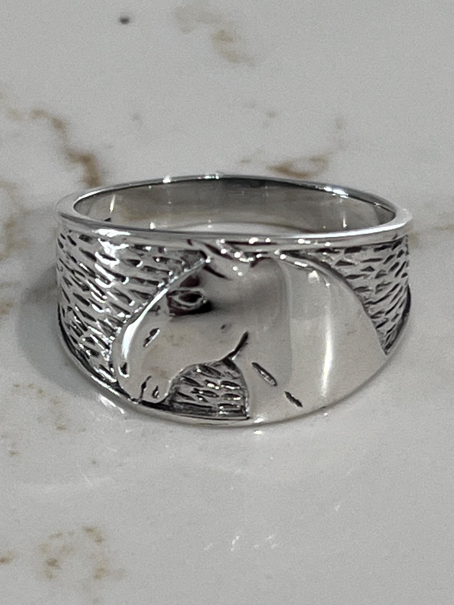 Horse Shoe Designed Equestrian Ring