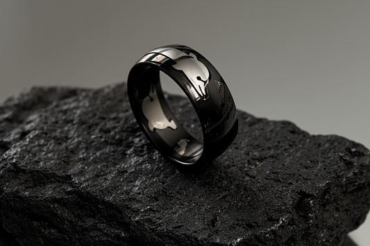 Dolphin Band Stainless Steel Men's Ring