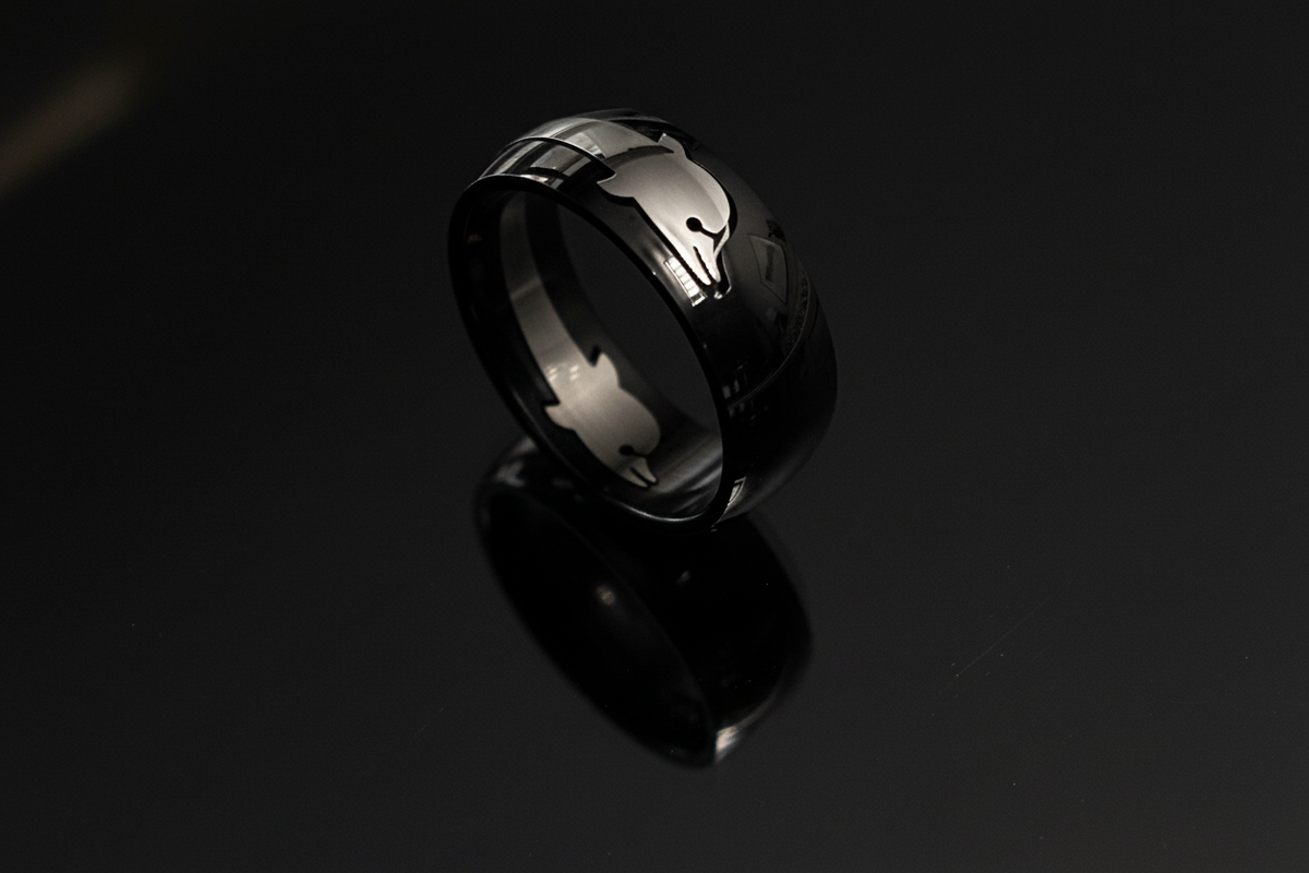 Dolphin Band Stainless Steel Men's Ring