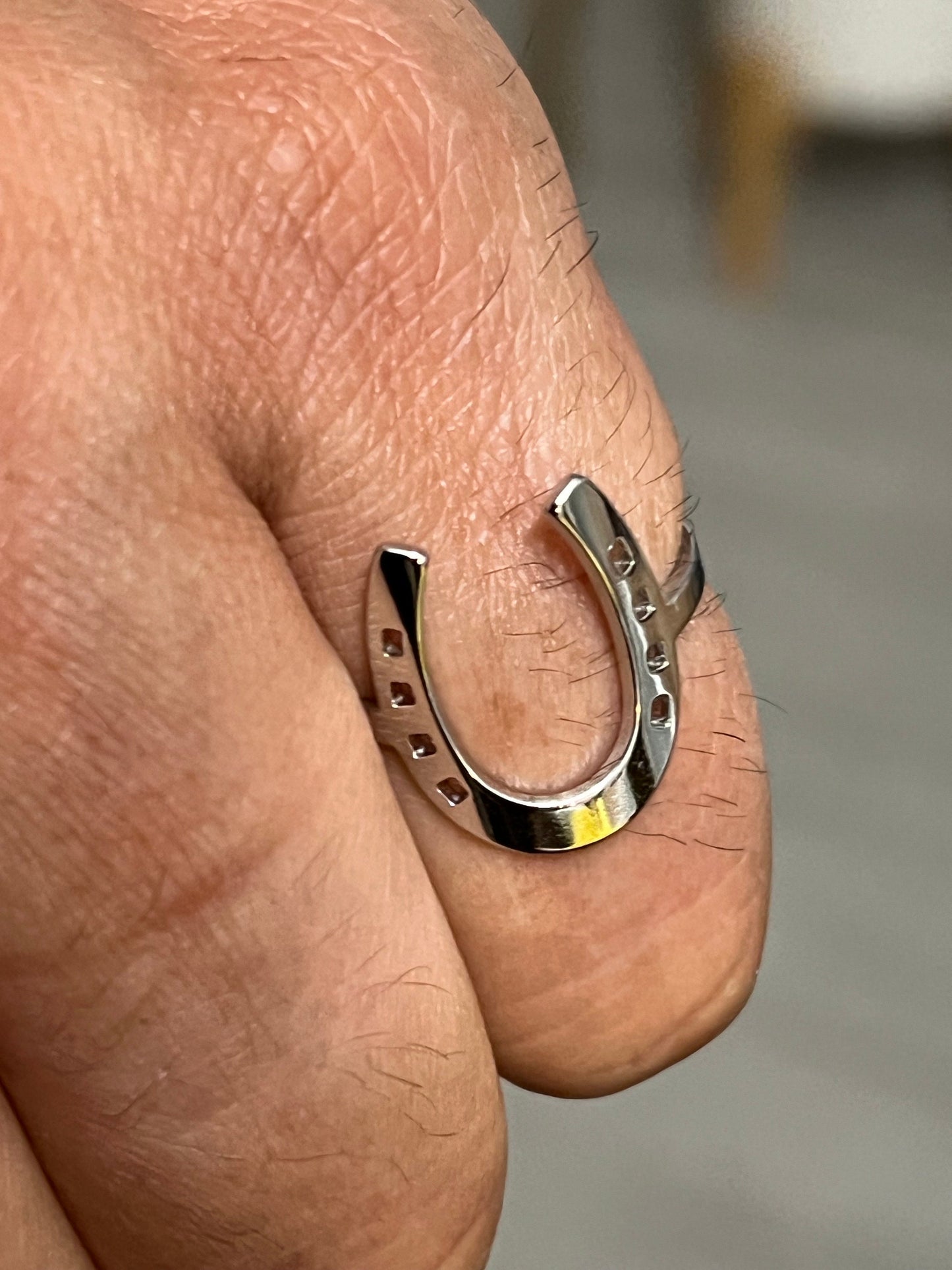 Horse Shoe Ring Men's Stainless Steel