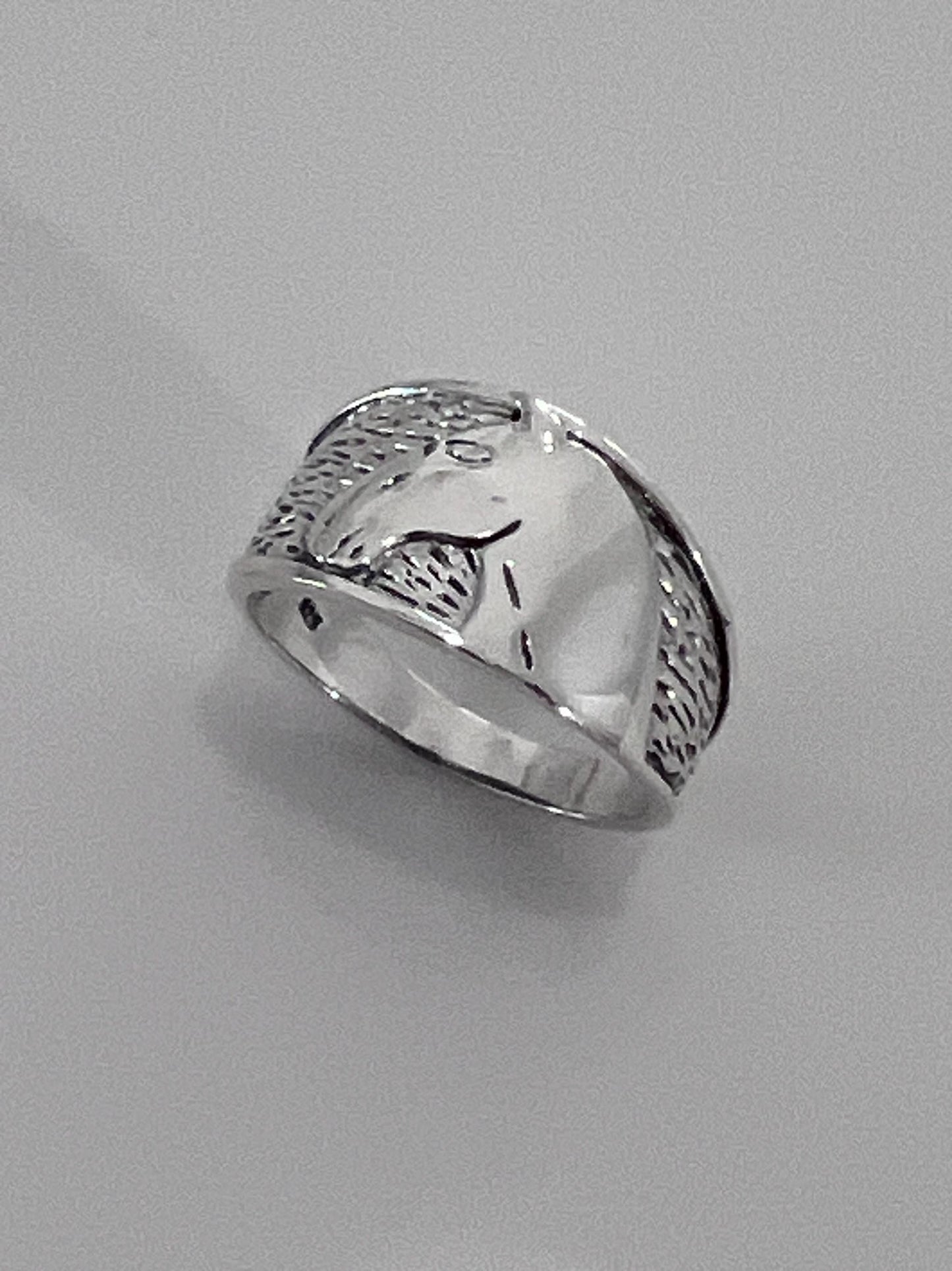 Horse Shoe Designed Equestrian Ring