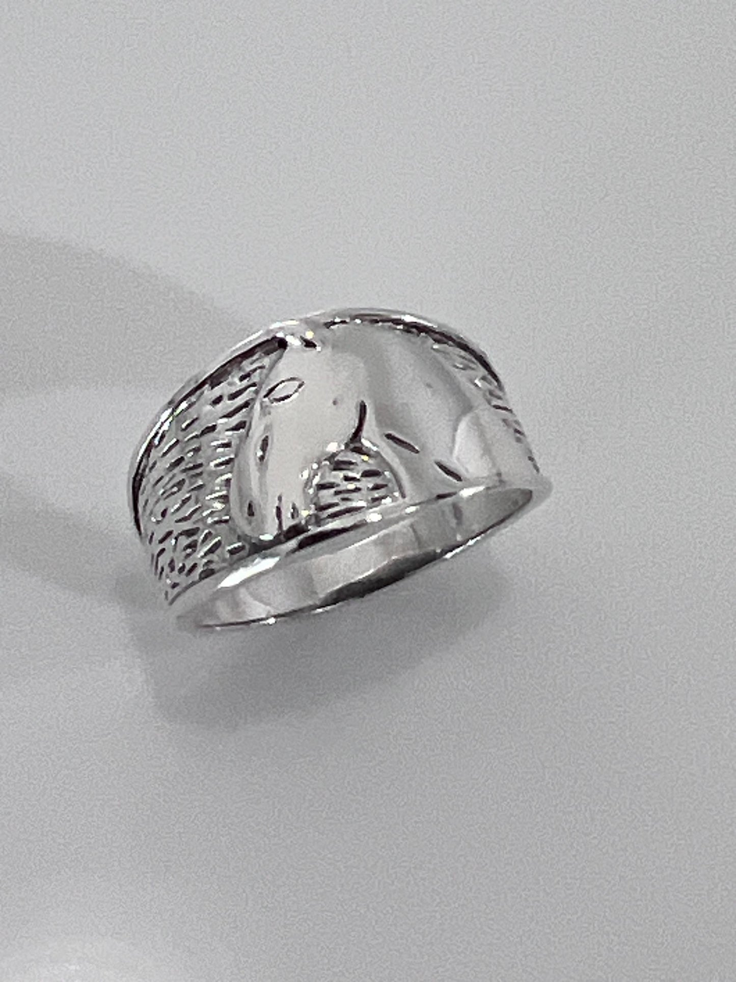 Horse Shoe Designed Equestrian Ring