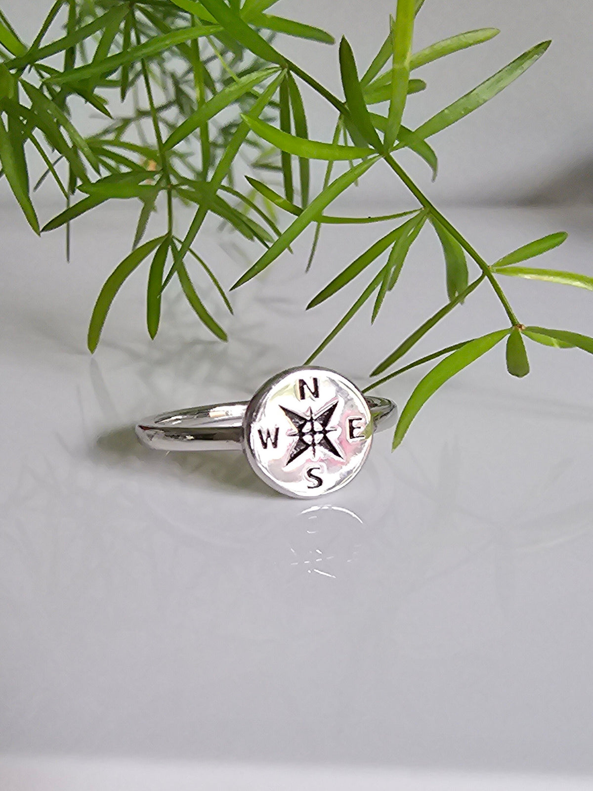Nautical Compass Ring